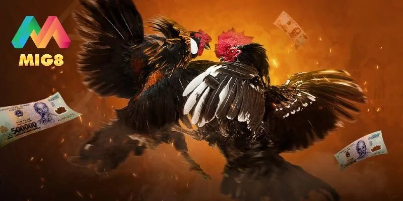 Giới thiệu hình thức đổi thưởng hấp dẫn nhất MIG8